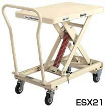 ESX21